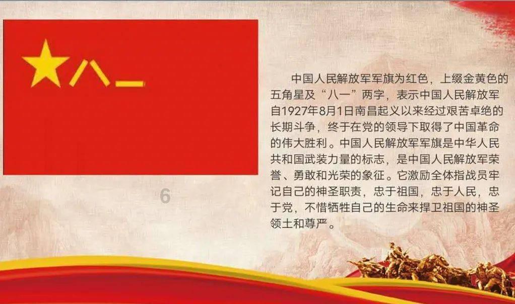 寻找萌宠松鼠